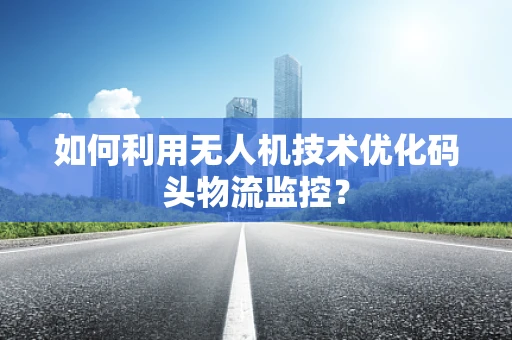 如何利用无人机技术优化码头物流监控？