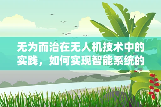 无为而治在无人机技术中的实践，如何实现智能系统的自我优化？
