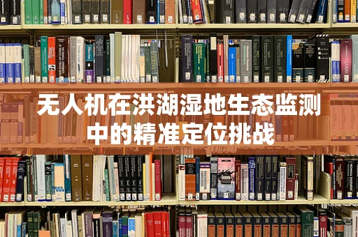 无人机在洪湖湿地生态监测中的精准定位挑战