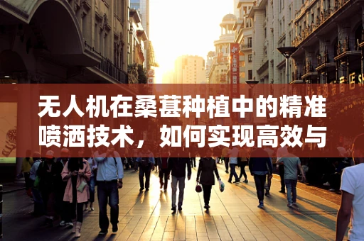 无人机在桑葚种植中的精准喷洒技术，如何实现高效与环保的平衡？