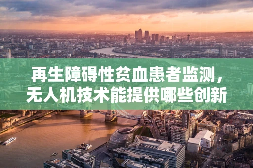 再生障碍性贫血患者监测，无人机技术能提供哪些创新解决方案？