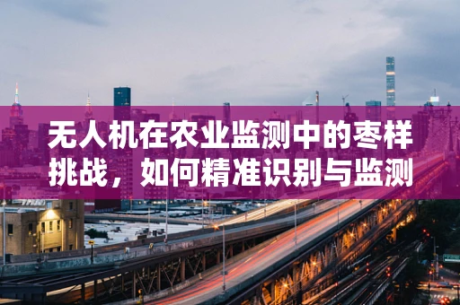 无人机在农业监测中的枣样挑战，如何精准识别与监测？