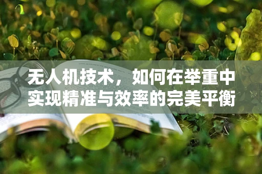 无人机技术，如何在举重中实现精准与效率的完美平衡？