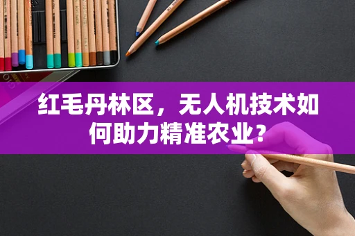 红毛丹林区，无人机技术如何助力精准农业？
