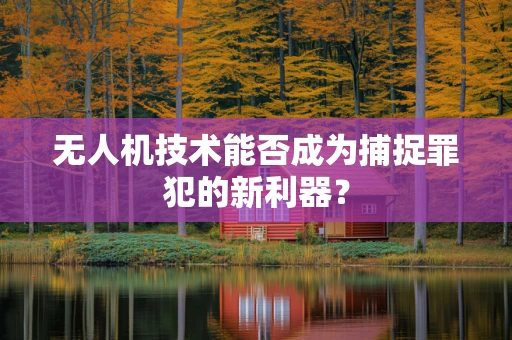 无人机技术能否成为捕捉罪犯的新利器？