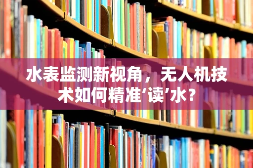 水表监测新视角，无人机技术如何精准‘读’水？