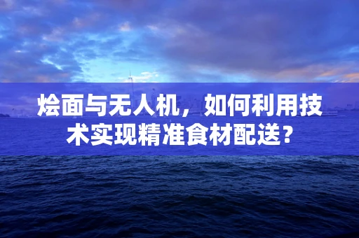 烩面与无人机，如何利用技术实现精准食材配送？