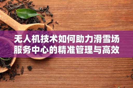 无人机技术如何助力滑雪场服务中心的精准管理与高效运营？