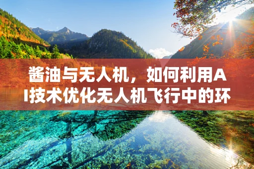 酱油与无人机，如何利用AI技术优化无人机飞行中的环境适应性？
