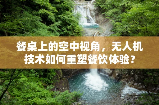 餐桌上的空中视角，无人机技术如何重塑餐饮体验？
