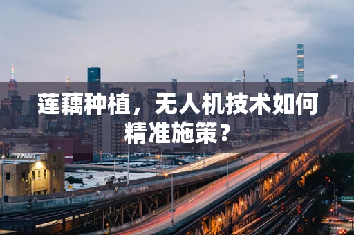 莲藕种植，无人机技术如何精准施策？