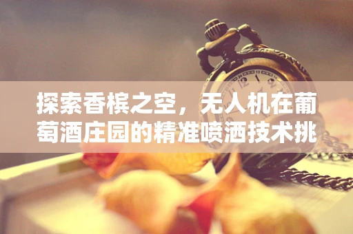 探索香槟之空，无人机在葡萄酒庄园的精准喷洒技术挑战