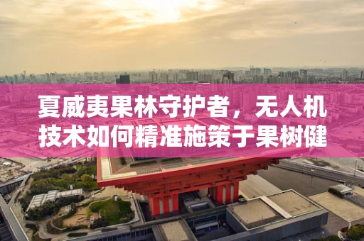 夏威夷果林守护者，无人机技术如何精准施策于果树健康？