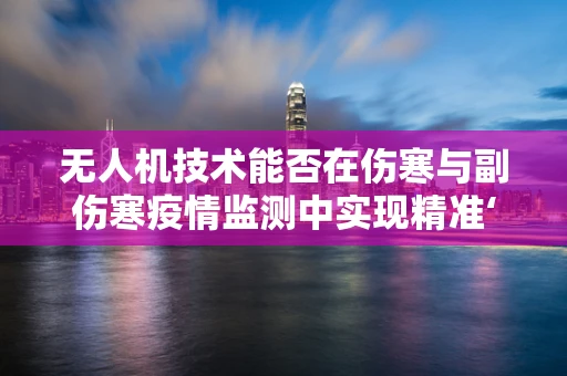 无人机技术能否在伤寒与副伤寒疫情监测中实现精准‘空降’？