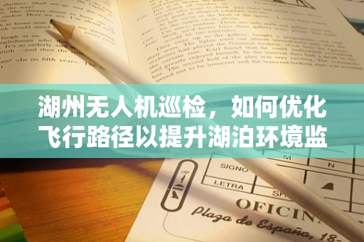 湖州无人机巡检，如何优化飞行路径以提升湖泊环境监测效率？