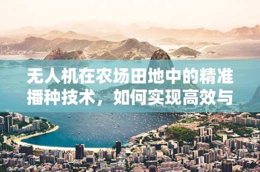 无人机在农场田地中的精准播种技术，如何实现高效与精确的平衡？