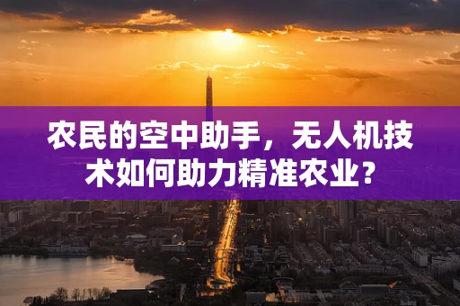 农民的空中助手，无人机技术如何助力精准农业？