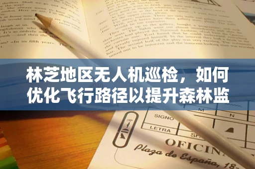 林芝地区无人机巡检，如何优化飞行路径以提升森林监测效率？