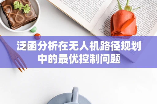 泛函分析在无人机路径规划中的最优控制问题