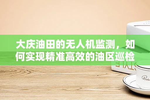 大庆油田的无人机监测，如何实现精准高效的油区巡检？