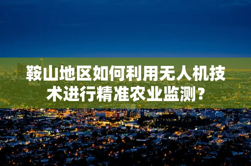 鞍山地区如何利用无人机技术进行精准农业监测？