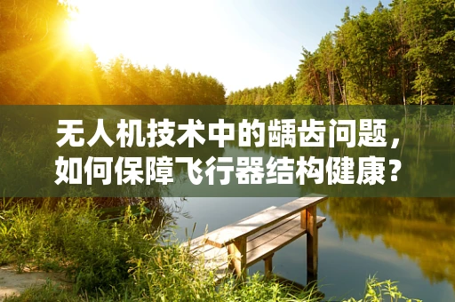 无人机技术中的龋齿问题，如何保障飞行器结构健康？