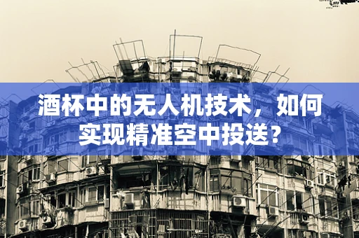 酒杯中的无人机技术，如何实现精准空中投送？
