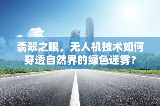 翡翠之眼，无人机技术如何穿透自然界的绿色迷雾？