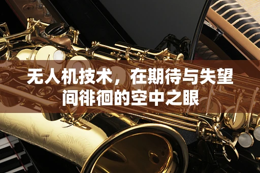 无人机技术，在期待与失望间徘徊的空中之眼