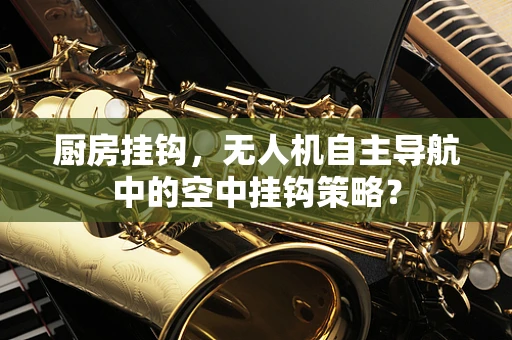 厨房挂钩，无人机自主导航中的空中挂钩策略？