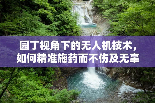 园丁视角下的无人机技术，如何精准施药而不伤及无辜？