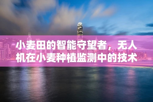 小麦田的智能守望者，无人机在小麦种植监测中的技术挑战与解决方案