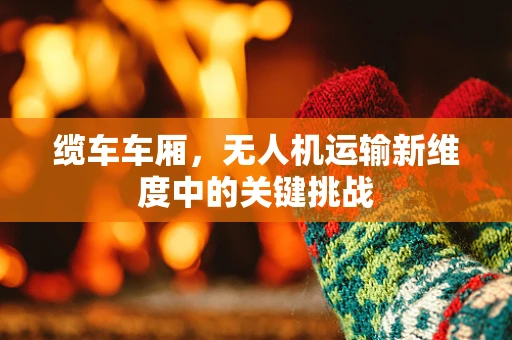 缆车车厢，无人机运输新维度中的关键挑战
