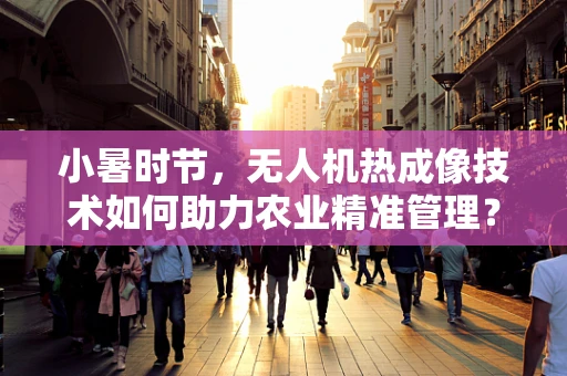 小暑时节，无人机热成像技术如何助力农业精准管理？