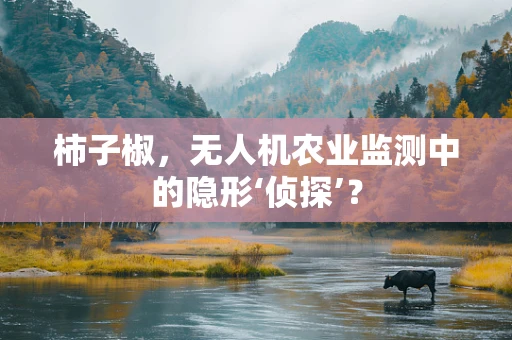 柿子椒，无人机农业监测中的隐形‘侦探’？