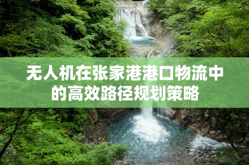 无人机在张家港港口物流中的高效路径规划策略