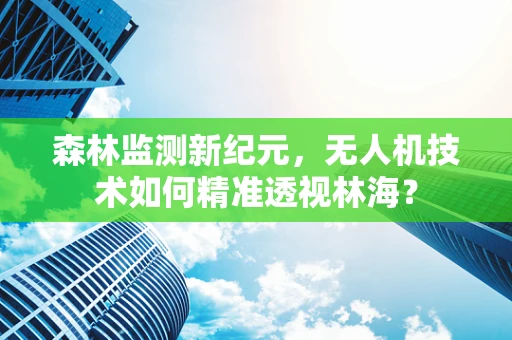 森林监测新纪元，无人机技术如何精准透视林海？