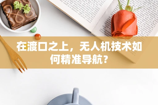 在渡口之上，无人机技术如何精准导航？
