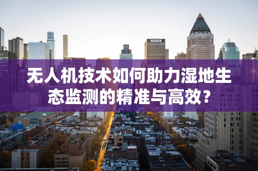 无人机技术如何助力湿地生态监测的精准与高效？