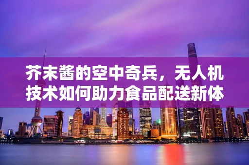 芥末酱的空中奇兵，无人机技术如何助力食品配送新体验？