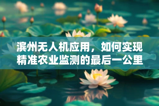 滨州无人机应用，如何实现精准农业监测的最后一公里？