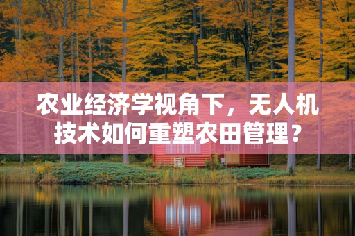 农业经济学视角下，无人机技术如何重塑农田管理？