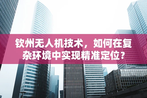 钦州无人机技术，如何在复杂环境中实现精准定位？