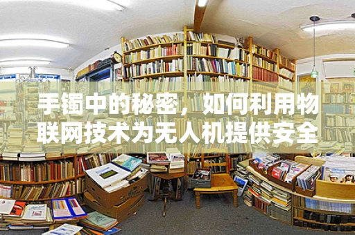 手镯中的秘密，如何利用物联网技术为无人机提供安全追踪？