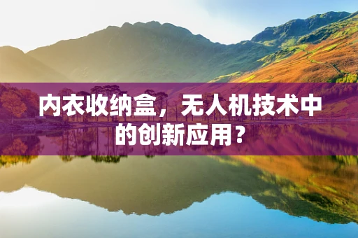内衣收纳盒，无人机技术中的创新应用？