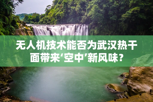 无人机技术能否为武汉热干面带来‘空中’新风味？