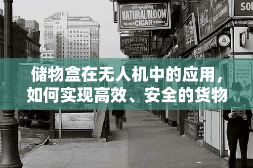 储物盒在无人机中的应用，如何实现高效、安全的货物运输？