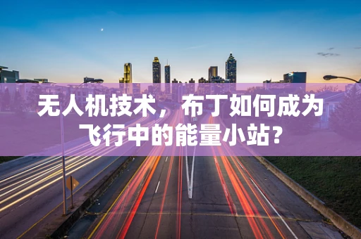 无人机技术，布丁如何成为飞行中的能量小站？