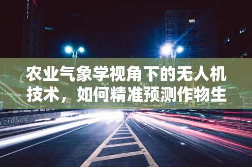 农业气象学视角下的无人机技术，如何精准预测作物生长环境？