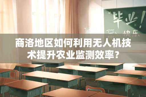 商洛地区如何利用无人机技术提升农业监测效率？